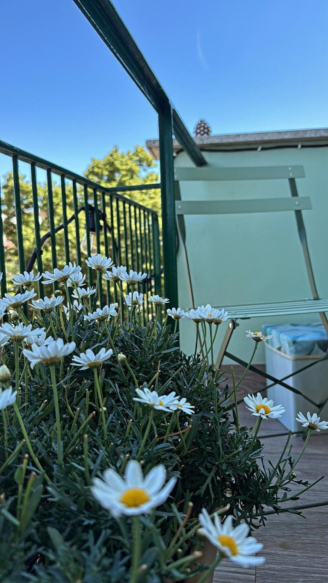 Monstera House Trastevere Rome