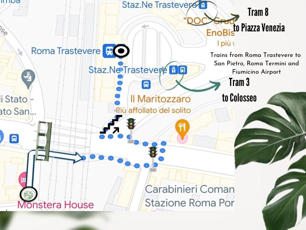 Monstera House * Rom