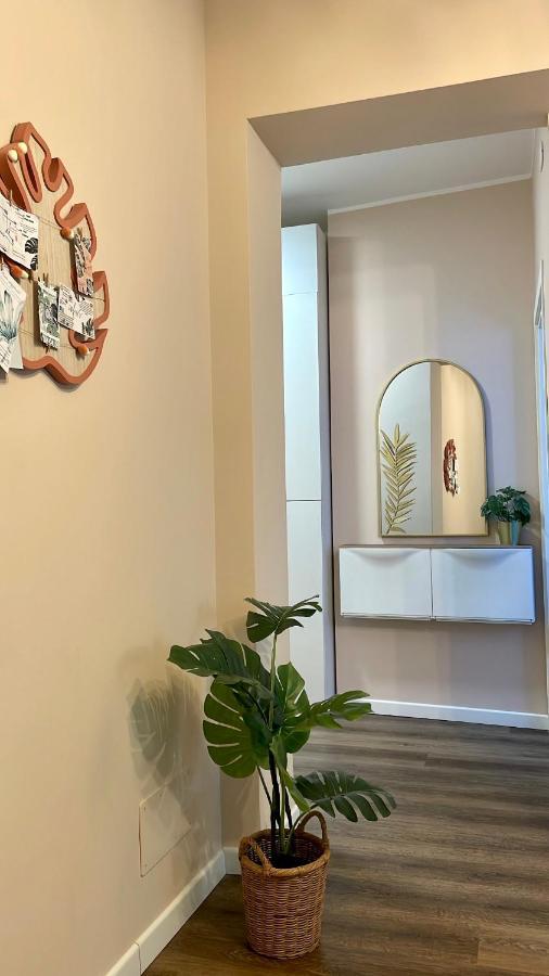 Monstera House Rom